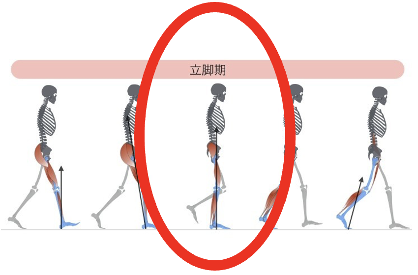 スクリーンショット 2025-11-02 20.54.01