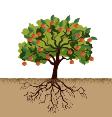 スクリーンショット 2025-11-30 8.16.52