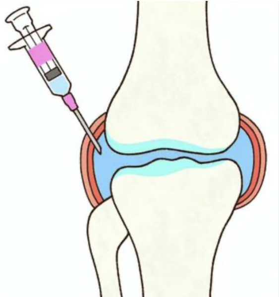 スクリーンショット 2025-11-30 8.15.55