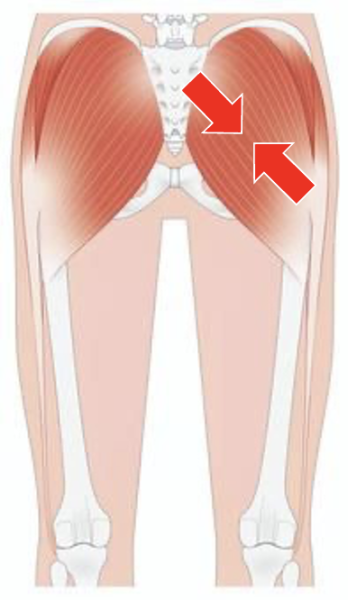 スクリーンショット 2025-11-02 21.04.30